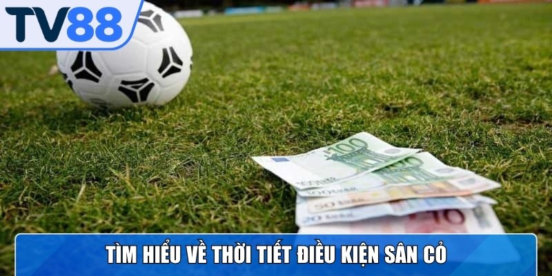 Mẹo soi cược tài xỉu hiệu quả cho bet thủ tham gia